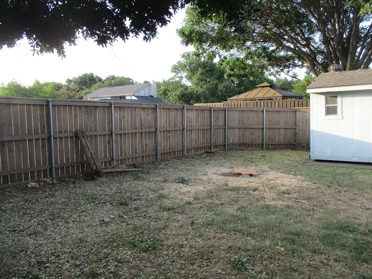Cleared yard after professional tree removal in Braceville