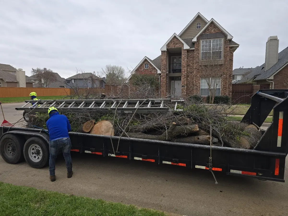 Expert Tree Fertilization with proper safety equipment in Braceville